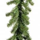 Garland cedrus