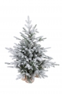 X-mas tree snowy