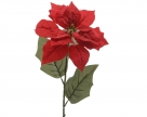 Poinsettia spray