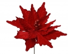 Poinsettia spray