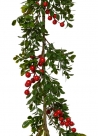 Garland w/berries