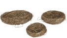 Nest grass
