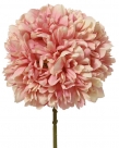 Peony spray