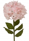 Hydrangea spray xl