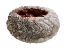 Pinecone bowl