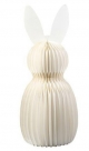 Rabbit standing