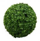 Grass ball d30cm