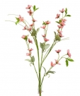 Flower spray
