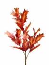 Oak leaf spray