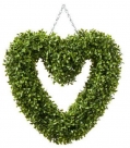 Heart w/lvs