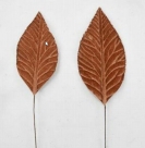 Leaves on wire