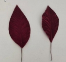 Leaves on wire