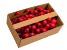 Rosehips on pick