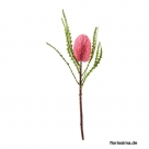 Banksia spray