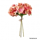 Hortensia spray