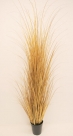 Grass in pot
