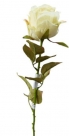 English rose spray