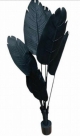 Travellers palm