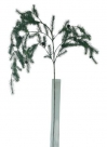 Pine cone spray