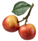 Apple x2 w/leaves