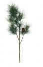 Pine pick w/pinecone
