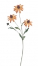 Rudbeckia spray x3