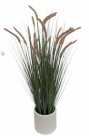 Grass in pot x15