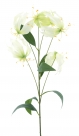 Gloriosa lily spray