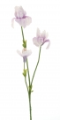 Iris spray fletcher