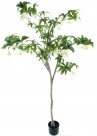 Spring flower tree