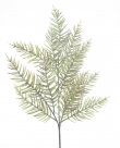 Needle pine spray