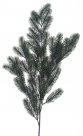 Pinus pick nisse