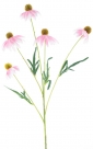 Rudbeckia spray