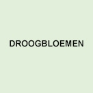 Droogbloemen