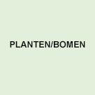 Planten/bomen