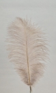 Drab