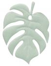 Monstera leaf