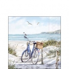 Bike beach