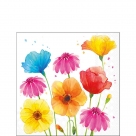 Colourful summer