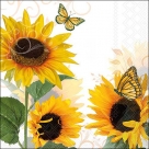 Sunny butterfly
