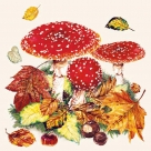 Fly agaric