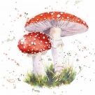 Painted fly agaric