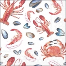 Sea life white