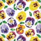 Lots of pansies