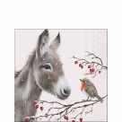 Donkey and robin