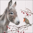 Donkey and robin