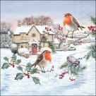 Birdy village
