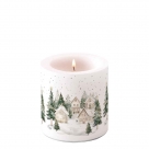 Snowy houses