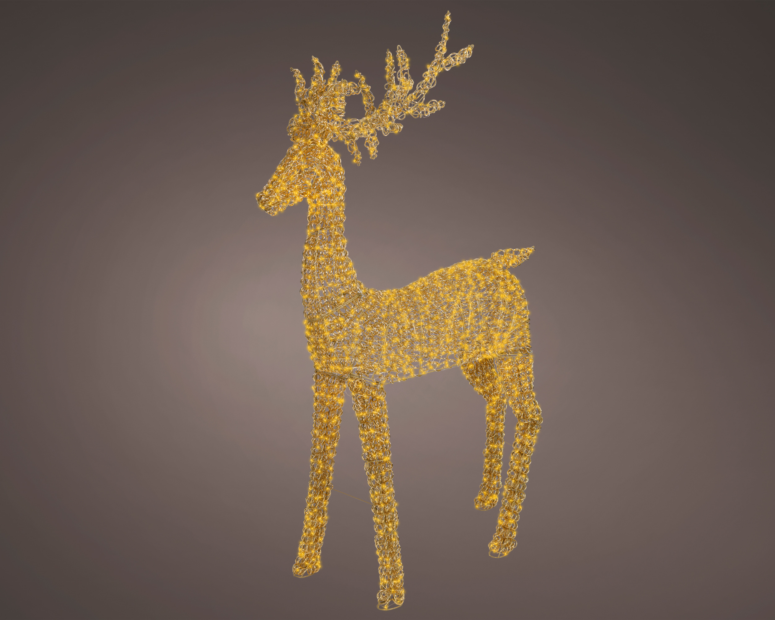 Reindeer micro led