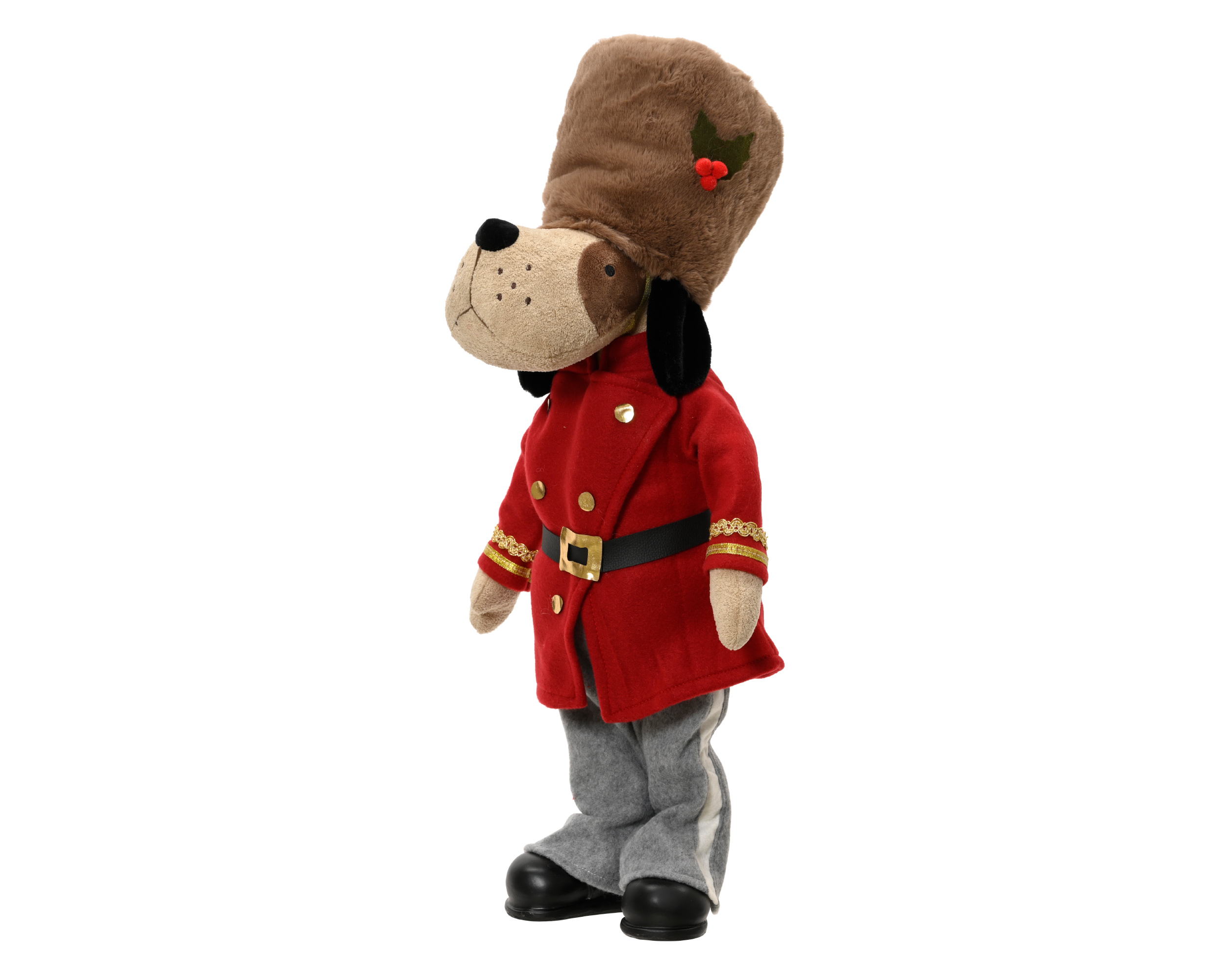 Dog standing